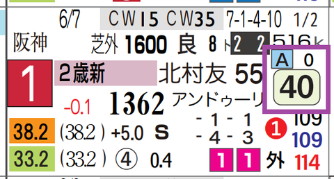 チュウワカーネギー（新馬）