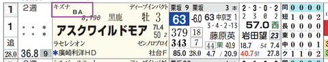 アスクワイルドモア（キズナ産駒）