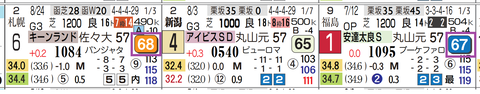 新潟11R