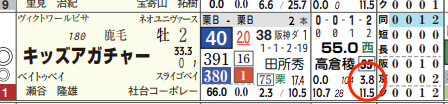 ハイブリッド新聞レース選択