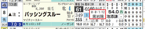 パッシングスルー（黒岩厩舎）