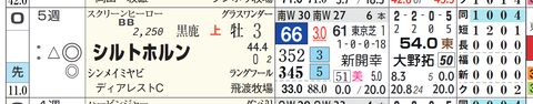 シルトホルン（スクリーンヒーロー産駒）