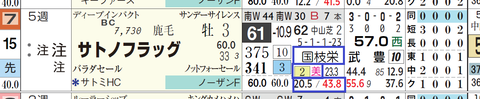 サトノフラッグ（国枝厩舎）