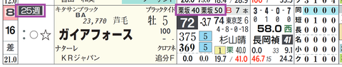 ガイアフォース(「追切指数」)