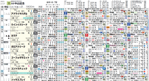 中山記念の想定版