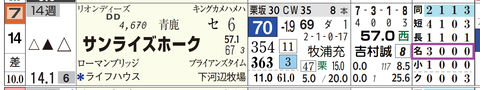 サンライズホーク（「コース実績」）