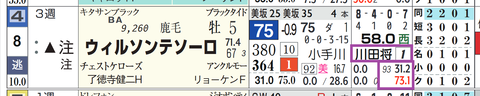 ウィルソンテソーロ(川田騎手)