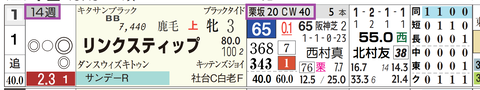 リンクスティップ（「追切指数」）