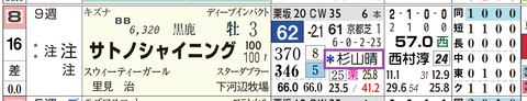 サトノシャイニング(2頭出し以上は「*」で表示)