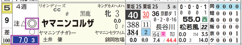 阪神３Ｒ３