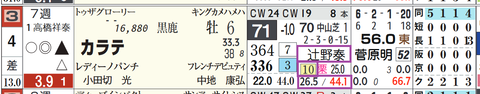 カラテ（辻野厩舎）