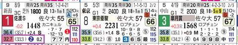 ライヒスアドラー（前走）
