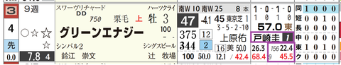 グリーンエナジー（戸崎騎手）