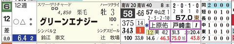 グリーンエナジー（「騎手×厩舎成績」）