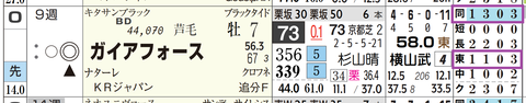 ガイアフォース（「距離実績」「コース実績」）