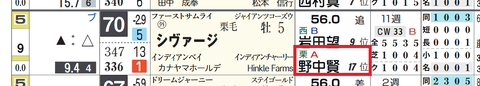 シヴァージ(野中厩舎)