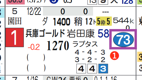 テイエムサウスダン（兵庫ＧＴ）