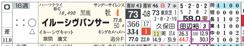 イルーシヴパンサー（田辺騎手）