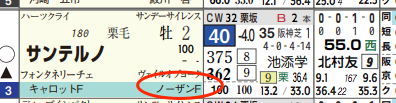 ハイブリッド新聞レース選択
