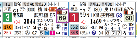 エキサイトバイオ(菊花賞)