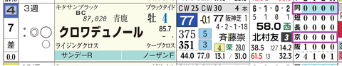 クロワデュノール（「距離実績」「コース実績」）