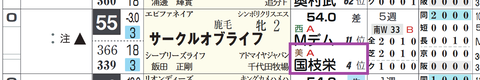 サークルオブライフ（国枝厩舎）