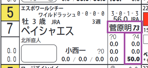 ペイシャエス（菅原明騎手）