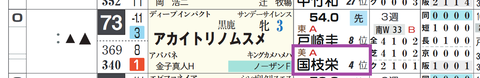 アカイトリノムスメ（国枝厩舎）