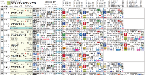 スプリングＳの想定１