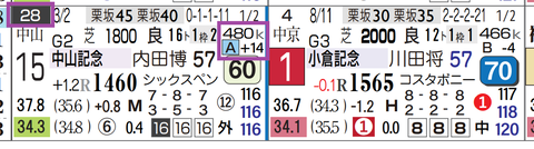 リフレーミング（馬体増）
