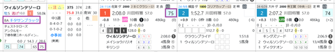 ウィルソンテソーロ