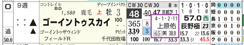 ゴーイントゥスカイ(上原佑厩舎)