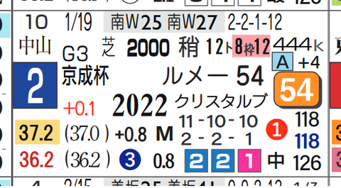 スカイグルーヴ(京成杯)