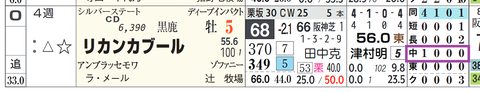 リカンカブール（「コース実績」）