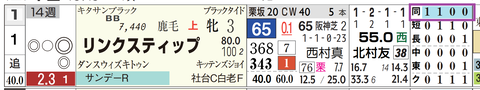 リンクスティップ（「距離実績」）