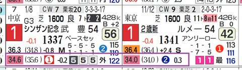 ライトクオンタム（上がり）
