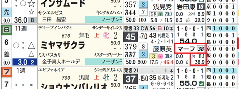 マーフィー騎手の芝