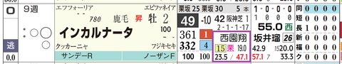 インカルナータ（西園翔厩舎）