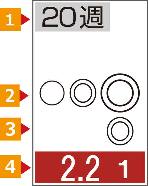 HB新聞横カラー２