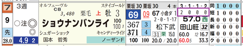 ショウナンバンライ(「ダート成績」)