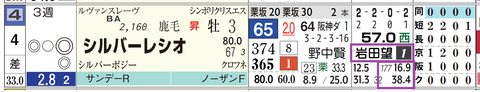 シルバーレシオ(野中厩舎)