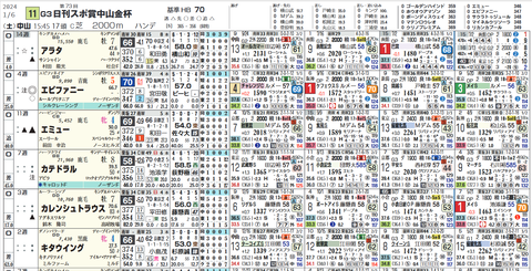 中山金杯の想定１