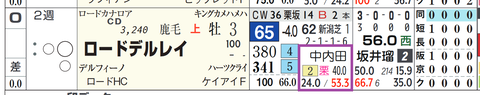 ロードデルレイ(中内田厩舎)