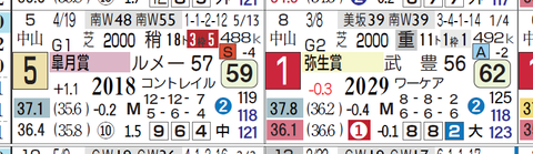 サトノフラッグ(弥生賞)