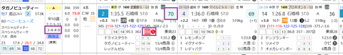 タガノビューティー