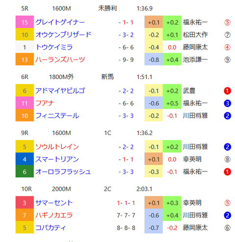 日曜の京都の芝