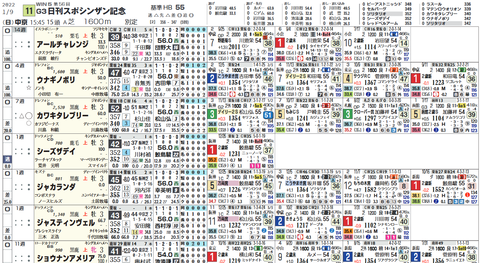 シンザン記念の想定版（ヨコ）
