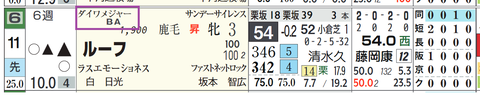 ルーフ（ダイワメジャー産駒）