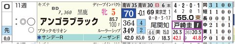 アンゴラブラック（戸崎騎手）