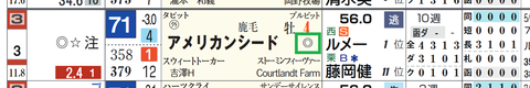 アメリカンシード（「重馬場適性」）